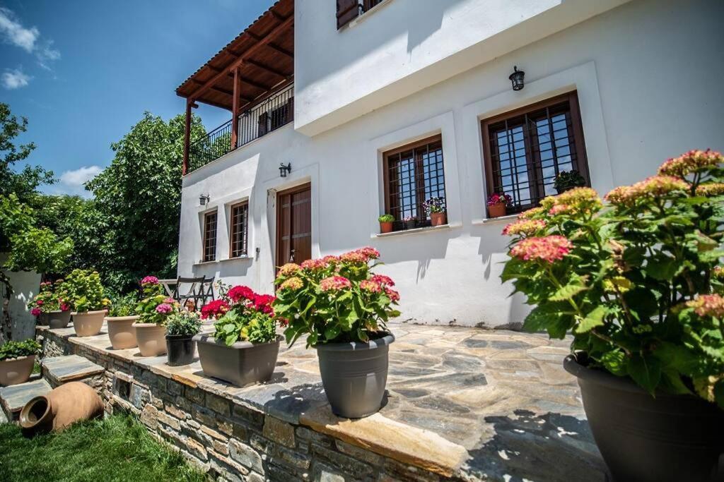 Clairy In Argalasti, Pelion Argalasti